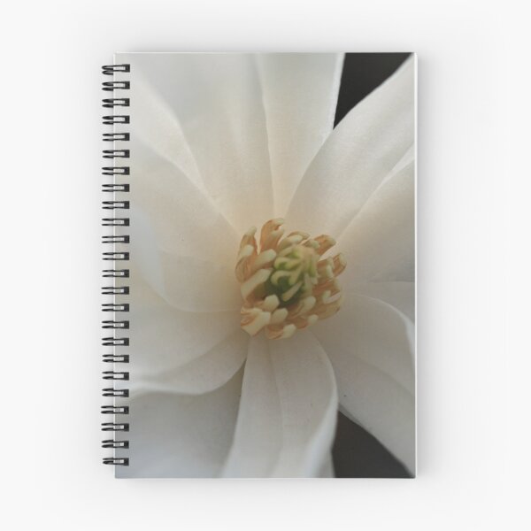 Item preview, Flower taken at Donaghadee Garden Centre designed and sold by Northern Pix.