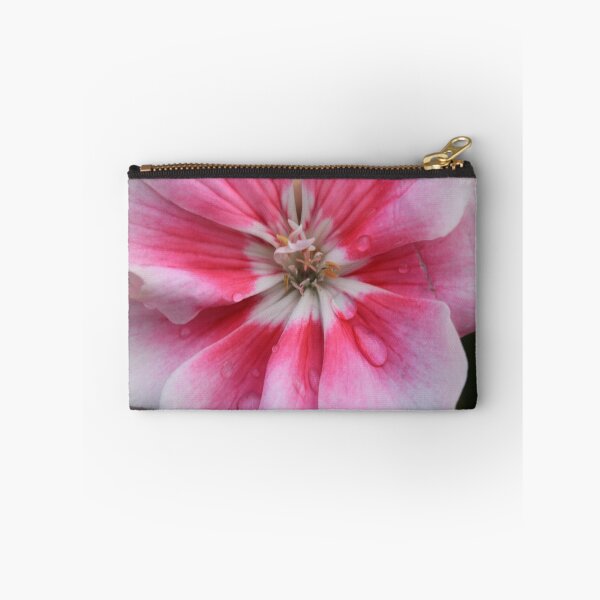 Item preview, Flower taken at Donaghadee Garden Centre designed and sold by Northern Pix.