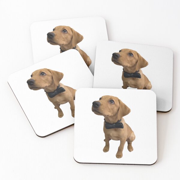 Item preview, Dexter the Fox Red Labrador - Cute bow tie designed and sold by DexterFRL.