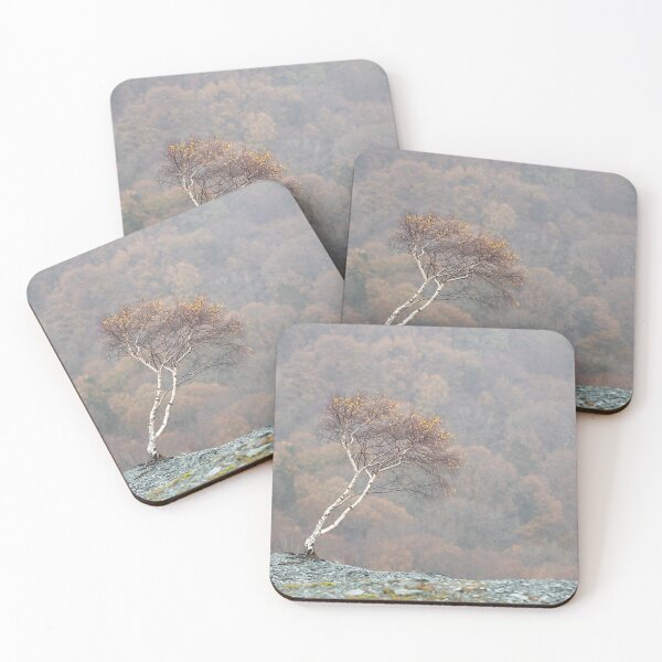 Item preview, Single Birch at a Slate Quarry designed and sold by ccullen222.