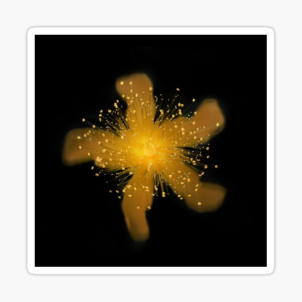 shining Sticker