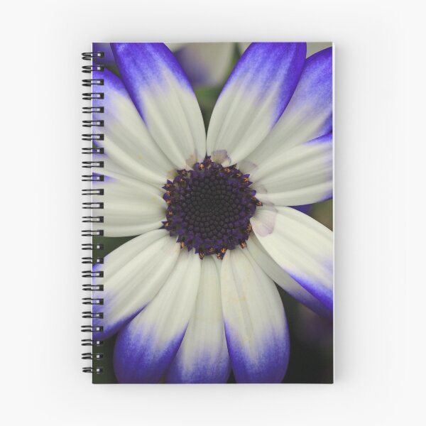 Item preview, Flower taken at Donaghadee Garden Centre designed and sold by Northern Pix.
