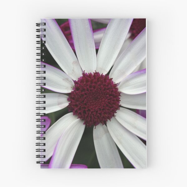 Item preview, Flower taken at Donaghadee Garden Centre designed and sold by Northern Pix.