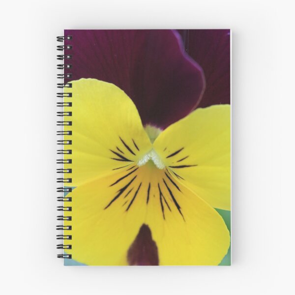 Item preview, Flower taken at Donaghadee Garden Centre designed and sold by Northern Pix.