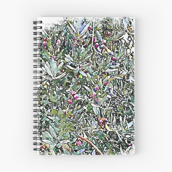 Item preview, Hortus Conclusus: olive tree designed and sold by Giuseppe Cocco.