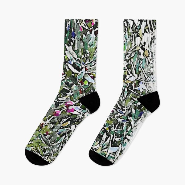 Item preview, Hortus Conclusus: olive tree designed and sold by Giuseppe Cocco.