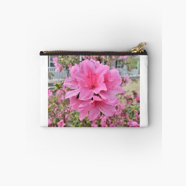 Item preview, 2016 Azaleas #2 designed and sold by Eileen Brymer.