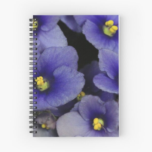 Item preview, Flower taken at Donaghadee Garden Centre designed and sold by Northern Pix.