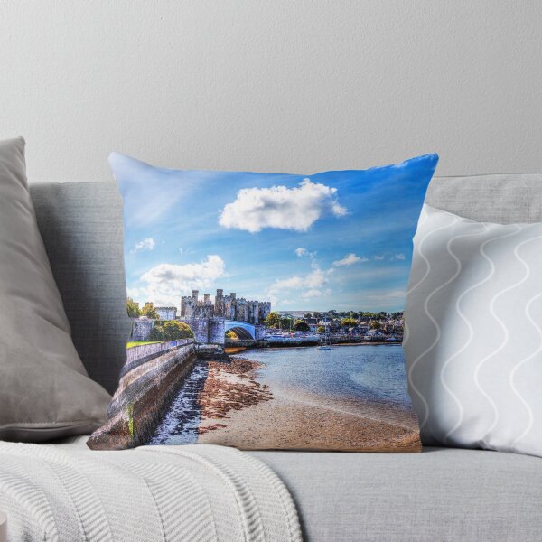 Item preview, Conwy castle And Harbour designed and sold by Paul Thompson Photography.