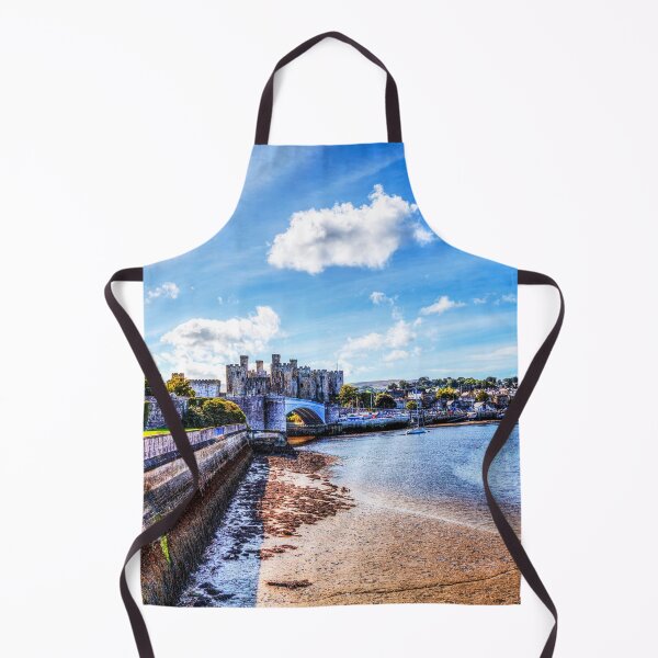 Item preview, Conwy castle And Harbour designed and sold by Paul Thompson Photography.