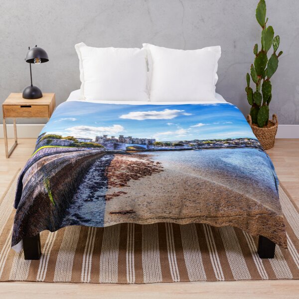 Item preview, Conwy castle And Harbour designed and sold by Paul Thompson Photography.
