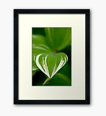 Brush Strokes Framed Print