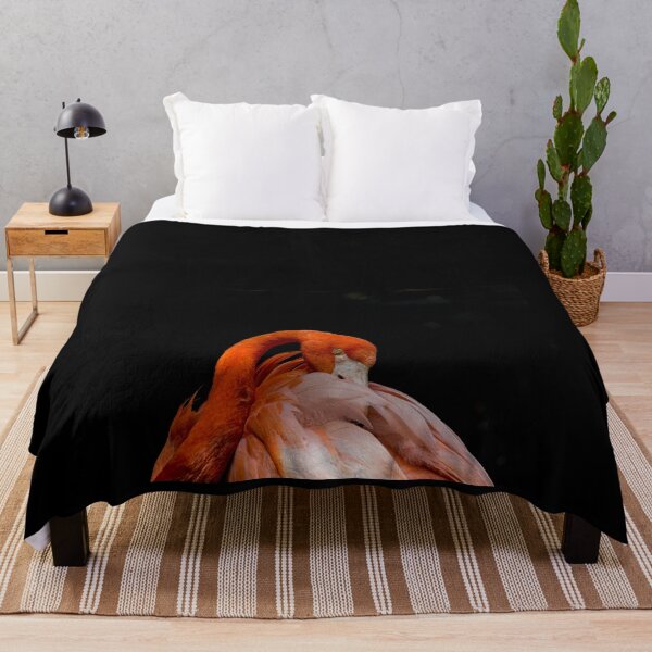 Item preview, American flamingo designed and sold by pietrofoto.