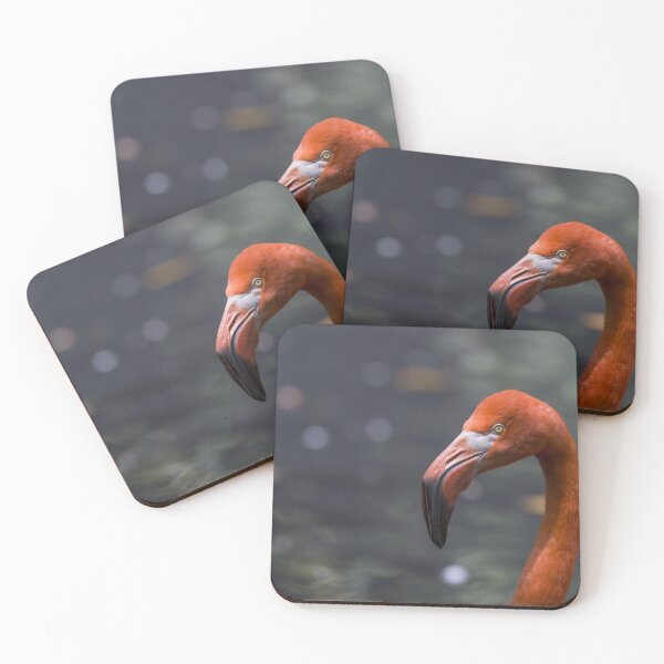 Item preview, American flamingo designed and sold by pietrofoto.