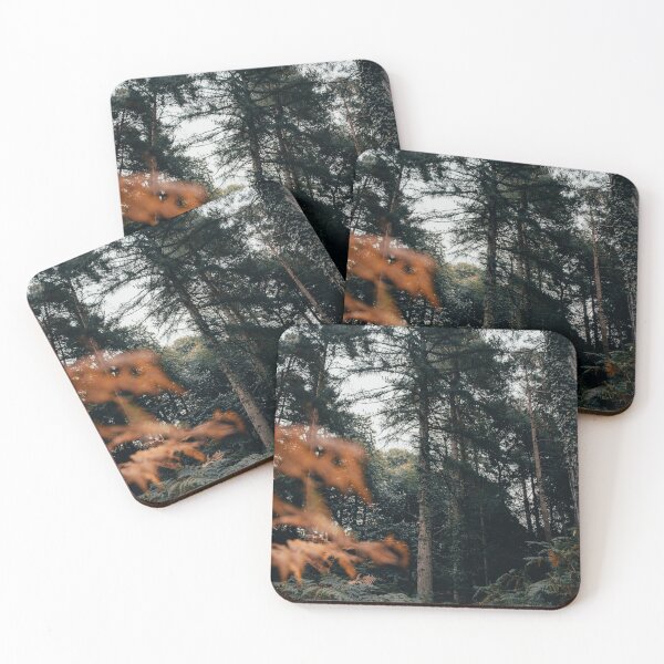 Item preview, Woods designed and sold by PhotosbySarahA.
