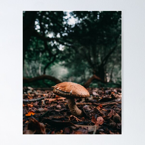 Item preview, Mushroom designed and sold by PhotosbySarahA.