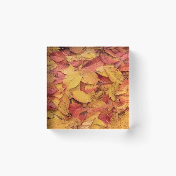 Item preview, Autumn #2 designed and sold by ccullen222.