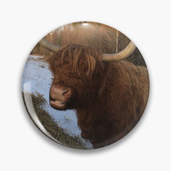 Item preview, Scottish Highland Cattle Cow 2195 designed and sold by SaarelaHighland.