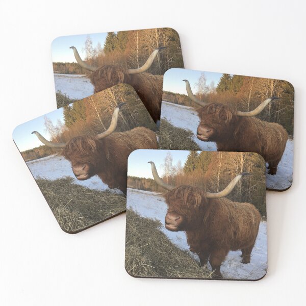 Item preview, Scottish Highland Cattle Cow 2195 designed and sold by SaarelaHighland.