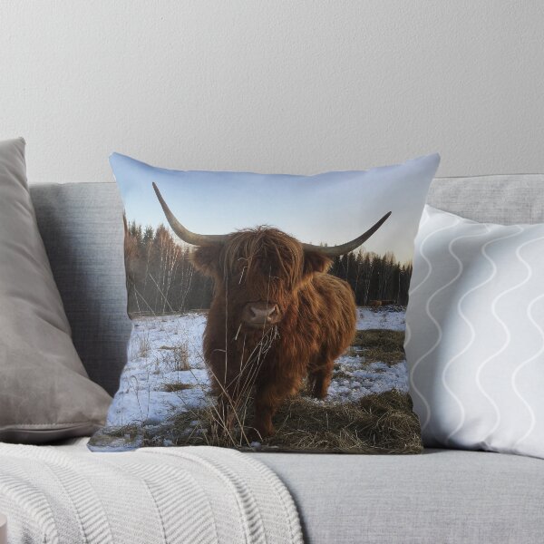 Item preview, Scottish Highland Cattle Cow 2197 designed and sold by SaarelaHighland.