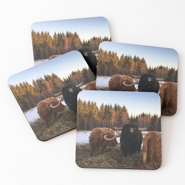 Item preview, Scottish Highland Cattle Cow and Bull 2199 designed and sold by SaarelaHighland.