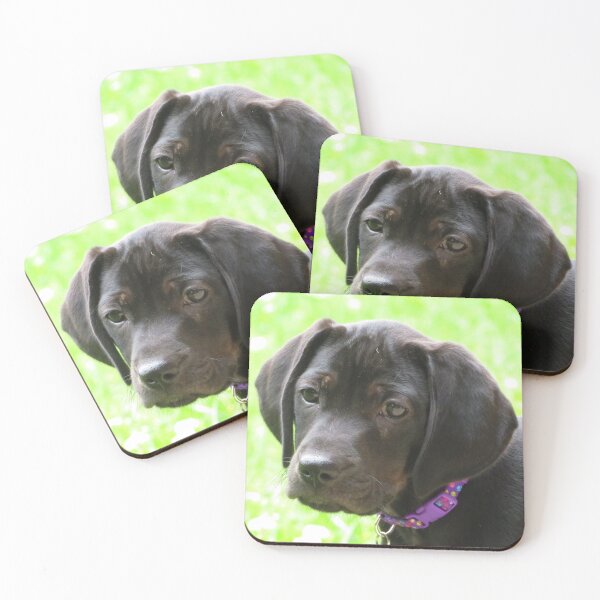 Item preview, Lily designed and sold by Denise Larson.
