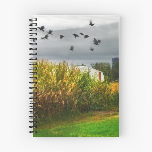 Item preview, Lift Off designed and sold by Claude Johnson.