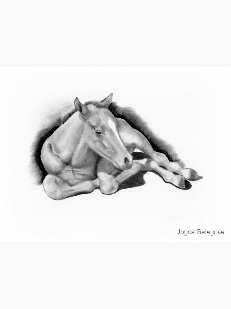 Hand With Pointing Finger, Pencil and Charcoal Drawing Poster for Sale by  Joyce Geleynse