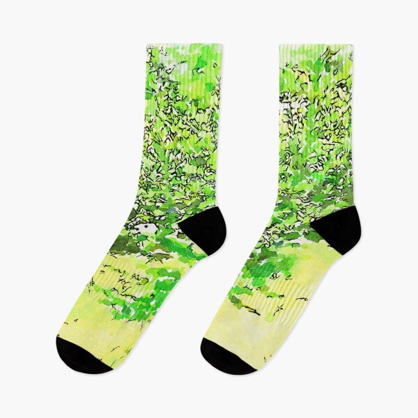 Item preview, Hortus Conclusus: plants designed and sold by Giuseppe Cocco.