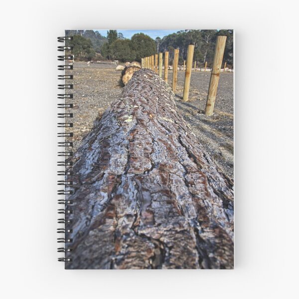Item preview, Close to the Ground - Tree Trunk (5) designed and sold by Wolf Sverak Photography.