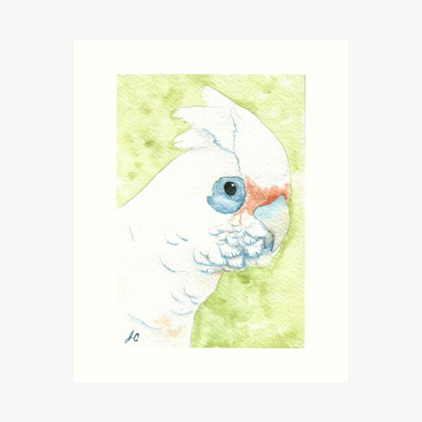 Item preview, Little corella cockatoo painting - watercolor australian parrot wildlife v2 designed and sold by Perroquets numériques.