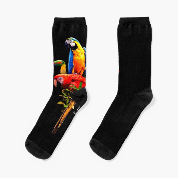 Item preview, BIRDS OF COSTA RICA designed and sold by ALCHILE1.