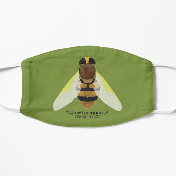 Hornet hoverfly Volucella zonaria Flat Mask