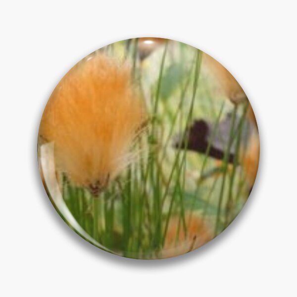 Item preview, Beautiful pampas-grass. designed and sold by Lan thi Nguyen.