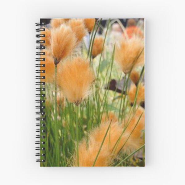 Item preview, Beautiful pampas-grass. designed and sold by Lan thi Nguyen.