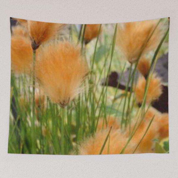 Item preview, Beautiful pampas-grass. designed and sold by Lan thi Nguyen.