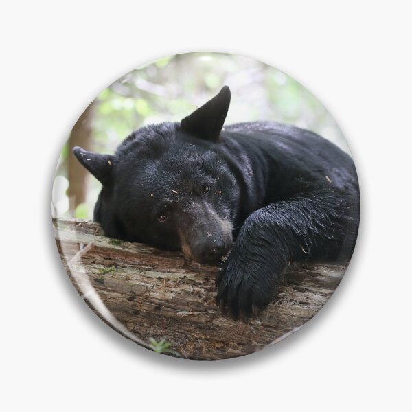 Item preview, Bearly Awake designed and sold by mlorenz.