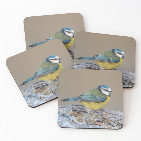 Item preview, Blue Tit designed and sold by Steve Liptrot Photography.