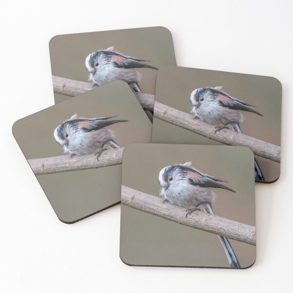 Item preview, Long-tailed tit designed and sold by Steve Liptrot Photography.