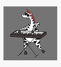 Zebra Keyboard Photographic Print