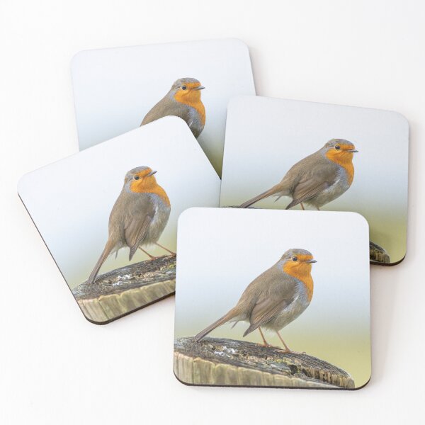 Item preview, European Robin designed and sold by Steve Liptrot Photography.