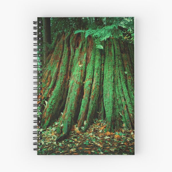 Item preview, Tocón designed and sold by DavidsNature.