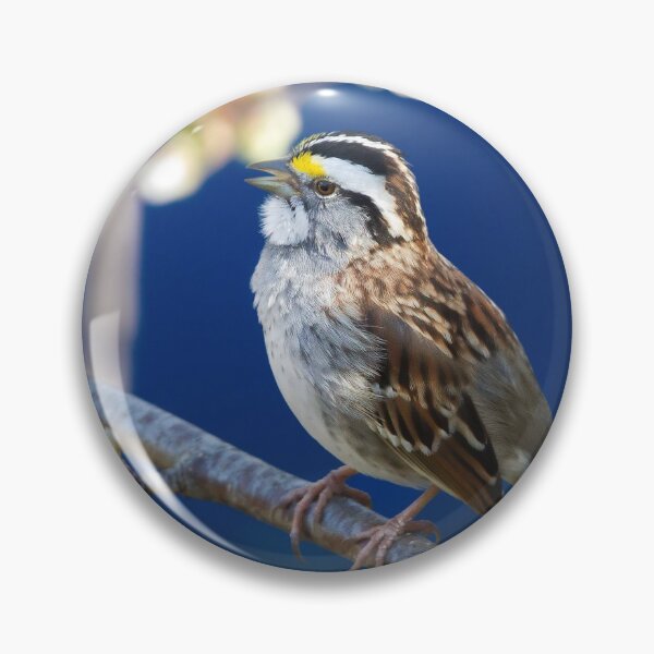 Item preview, White-throated Sparrow A Capella designed and sold by PixlPixi.