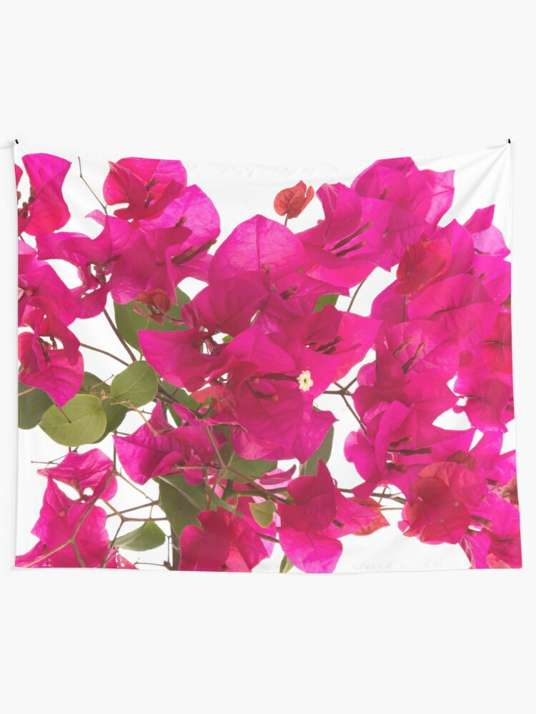 Tela decorativa «Flor de buganvilla» de Pris25 | Redbubble