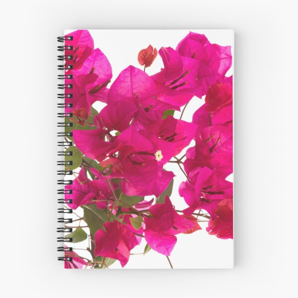 Aperçu de l'œuvre Fleur de bougainvillier créée et vendue par Pris25.