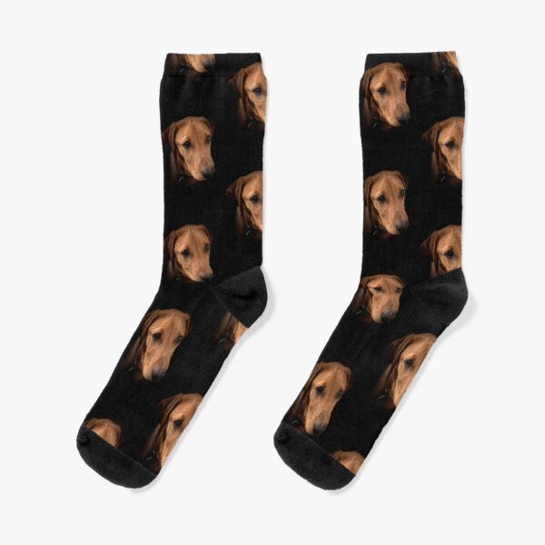 Item preview, Fox Red Labrador - Dexter designed and sold by DexterFRL.