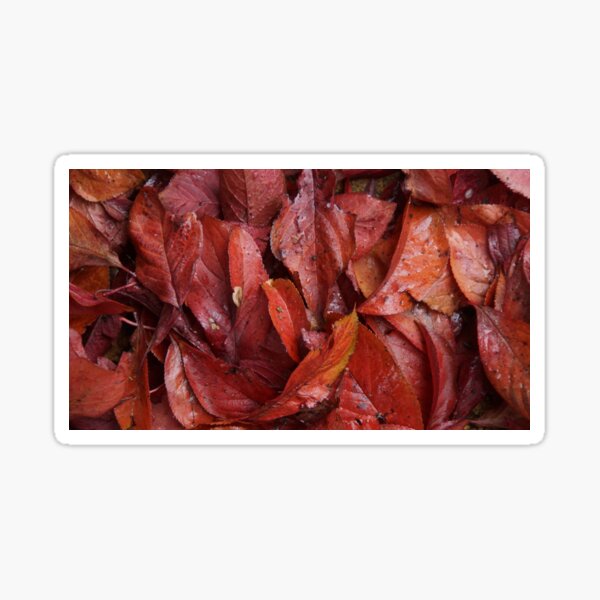 Item preview, Prunus in Autumn - Avril Thomas at Magpie Springs designed and sold by MagpieSprings.