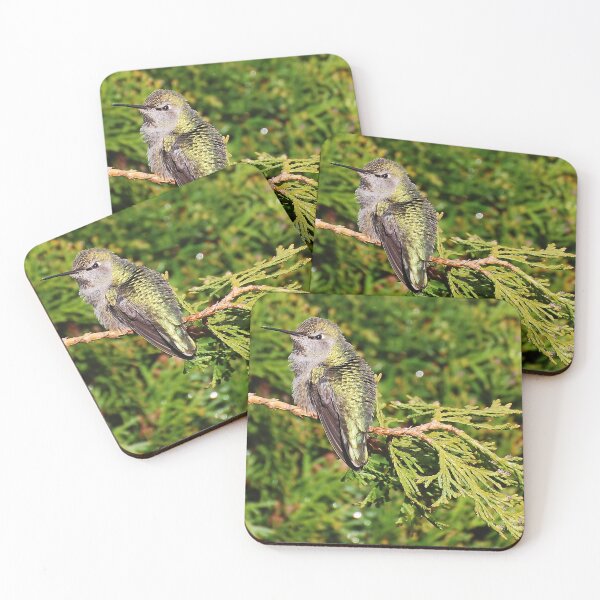 Item preview, Little Perch designed and sold by KarDanCreations.
