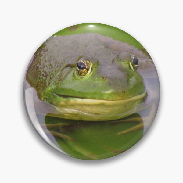Item preview, Bull Frog designed and sold by Denise Larson.