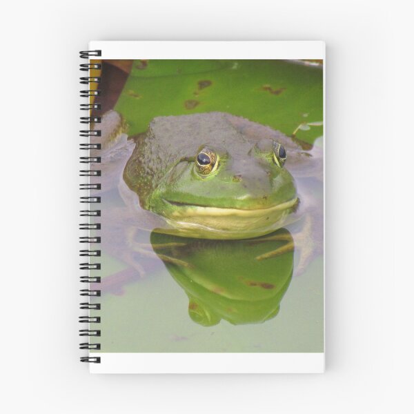 Item preview, Bull Frog designed and sold by Denise Larson.